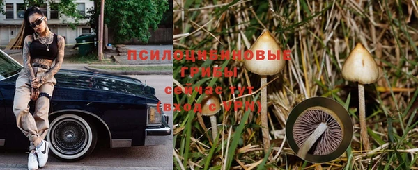 винт Карпинск