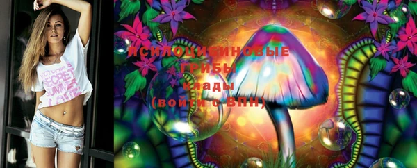 винт Каменногорск