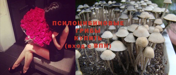 прущая мука Каменск-Шахтинский