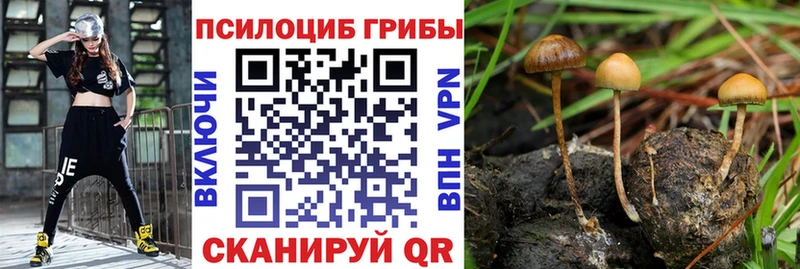 Псилоцибиновые грибы мицелий  Купить закладки  Светлый 